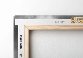 Quadro su tela – Leone africano in bianco e nero