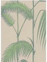 Cole & Son Carta da parati Palm Leaves - Braun/ Grün