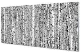 Pannello paraschizzi cucina Alberi forestali in bianco e nero 100x50 cm