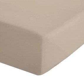 Lenzuolo con angoli marrone chiaro in percalle 135x190 cm Easy Iron Percale – Catherine Lansfield