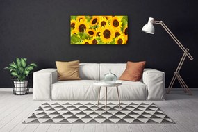 Quadro su tela Pianta i girasoli 100x50 cm