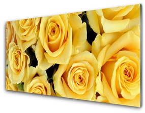 Quadro su vetro acrilico Rose, fiori, piante 100x50 cm
