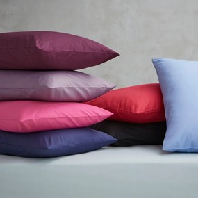 Federe per cuscino in set in percalle 2 pz 75x50 cm Easy Iron Percale – Catherine Lansfield