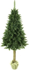 Albero di Natale su tronco di abete 180 cm
