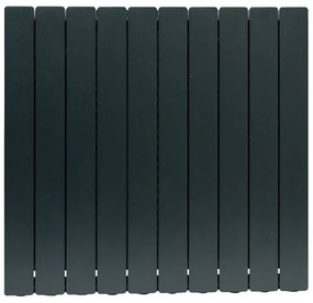 Radiatore acqua calda PRODIGE MODERN in alluminio, 10 elementi, interasse 700 mm, black coffee