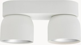 Faretti da soffitto con luce regolabile Pitcher