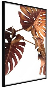 Poster  Copper Monstera  Cornice Quadri Cornice nera, Larghezza x Altezza Home decor 40x60