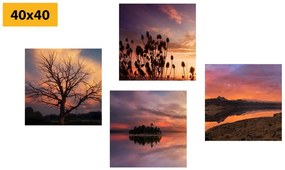 Set di quadri – Natura piena di colori romantici
