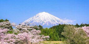 Quadro su tela – Monte Fuji
