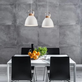 Lampadario a cavo DANIELLE 2xE27/60W/230V