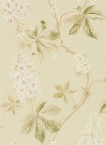 Tapete Chestnut Tree von Sanderson - Coral/ Bayleaf