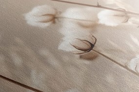 Quadro su tela – Cotone secco