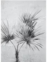 Eijffinger Carta da parati Palm Ombre - Greyscale