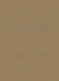 Élitis Carta da parati Parthénon - RM 1045 15