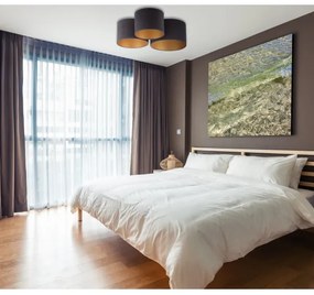 Duolla - Plafoniera ROLLER TRIO 3xE27/60W/230V antracite