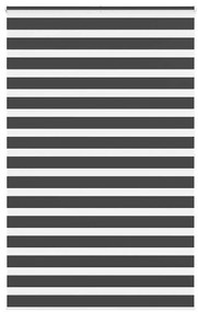 Tenda A Rullo Zebra Nero Larghezza Tessuto 145,9 Cm Poliestere /
