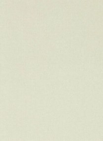Sanderson Carta da parati Soho Plain - Birch White