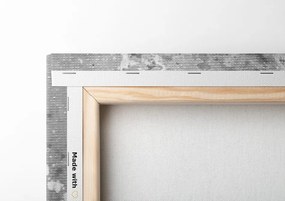 Stampa su tela – Peonie dipinte moderne in bianco e nero