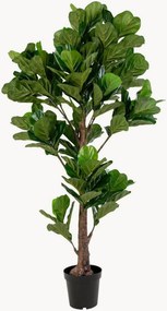 Pianta artificiale XXL Fiddle