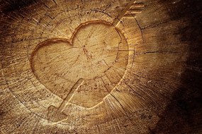 Stampa su tela – Cuore intagliato su tronco