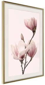 Poster  Blooming Magnolias III  Cornice Quadri Cornice d'oro con passe-partout, Larghezza x Altezza Home decor 20x30