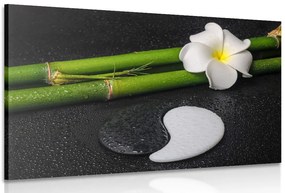 Quadro su tela – Natura morta Spa e pietre Jin e Jang