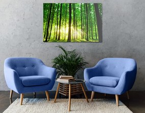 Stampa su tela – Foresta verde fresca