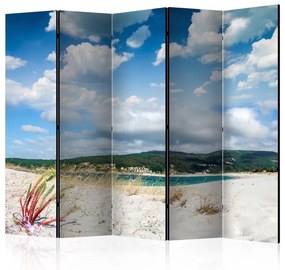 Paravento Beach on the Costa da Morte II [Room Dividers]