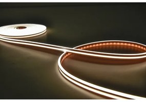 Rabalux 79021 - Striscia LED RGBW dimmerabile 21W 230V 5m IP67 + telecomando