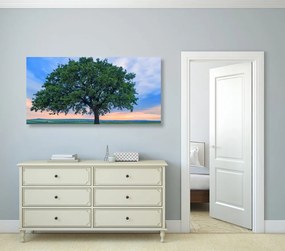 Quadro su tela – Quercia solitaria