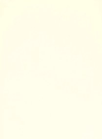 Terrastone original fein - Probeset - 73 - Samarkand