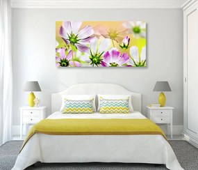 Stampa su tela – Fiori da giardino