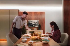 Philips - Striscia LED RGBW dimmerabile Hue FLUX 5m LED/48W/230V 2200-6500K