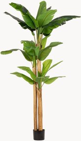 Pianta artificiale da esterno Banana Plant, alt. 280 cm