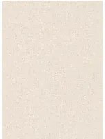 Sanderson Tapete Sessile Plain - Wild Rose