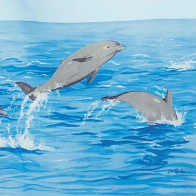 Tenda per doccia 180x180 cm Nemo – Spirella