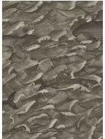 Cole & Son Carta da parati Melville - Metallic Charcoal