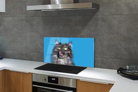 Pannello paraschizzi cucina Gatto leccare 100x50 cm