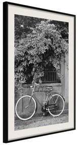 Poster  Bicycle with White Tires  Cornice Quadri Cornice nera con pass-partout, Larghezza x Altezza Home decor 20x30