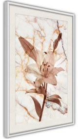 Poster  Lily on Marble Background  Cornice Quadri Cornice d'oro con passe-partout, Larghezza x Altezza Home decor 40x60