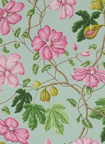 Manuel Canovas Carta da parati Castellane - Rose/ Aqua