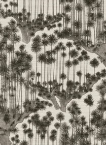 Cole & Son Carta da parati Japanese Woods - Grasscloth -Charcoal