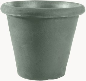 Portavaso Camelia