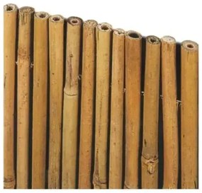 Canne di Bambù "River" con Legatura in Filo Metallico - Misure Varie, 1.5 X 3 M