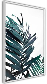 Poster Evergreen Palm Leaves  Cornice Quadri Cornice d'oro con passe-partout, Larghezza x Altezza Home decor 30x45