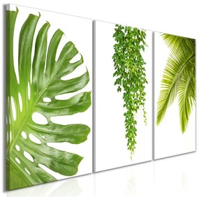 Quadro  Beautiful Palm Trees (3 Parts)  Colore Bianco, Dimensioni e Misure 120x60