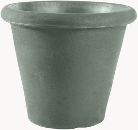 Portavaso Camelia