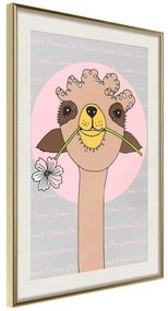 Poster  Cute Llama  Cornice Quadri Cornice d'oro con passe-partout, Larghezza x Altezza Home decor 40x60