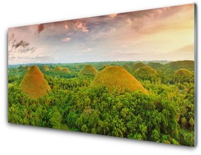 Quadro acrilico Foresta della giungla della natura 100x50 cm