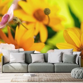 Carta da parati – Bouquet estivo